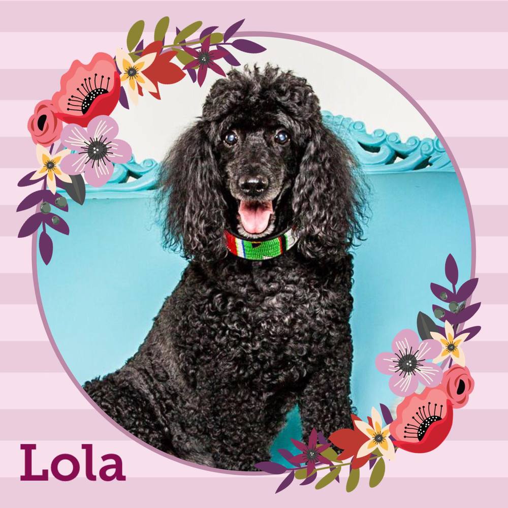 Meet your Posher, Michelle